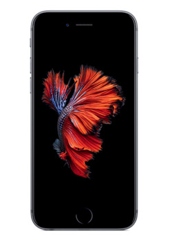 iPhone 6s