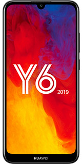 Y6 2019