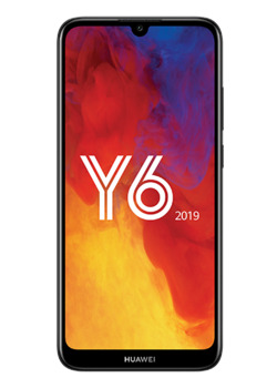 Y6 2019