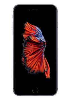 iPhone 6s Plus